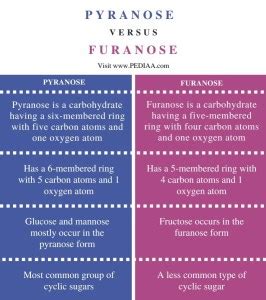 What is the Difference Between Pyranose and Furanose - Pediaa.Com