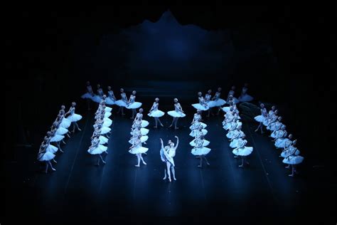 Shanghai Grand Theatre to reopen on June 18 - Chinadaily.com.cn