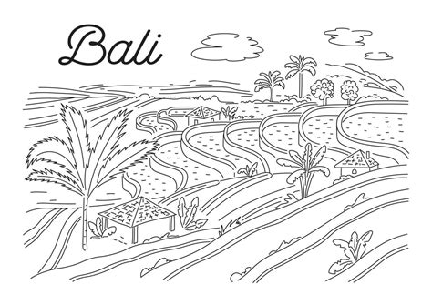 Rice terraces in Bali. Indonesian nature. Vector linear illustration ...