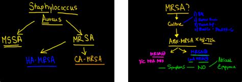 MRSA Pneumonia Made Easy! Symptoms, Treatment, Risk Factors