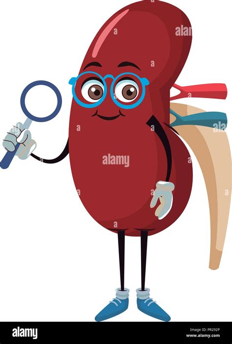 Kidney funny cartoon Stock Vector Image & Art - Alamy