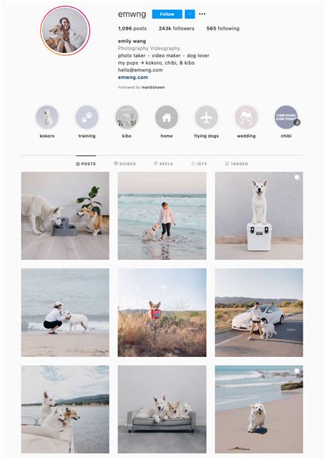 24 Stunning Instagram Themes (& How to Borrow Them for Your Own Feed)