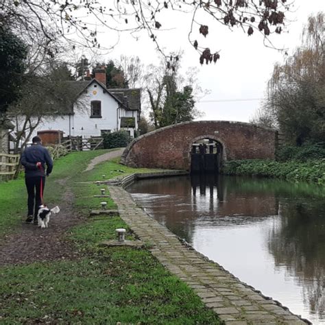 Dog walk at Trent & Mersey Canal Path (Burton) · Staffordshire · Walkiees