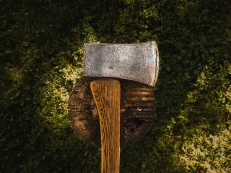 How to Find the Best Felling Axe and Which to Buy? - The Forestry Pros