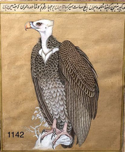 Persian illuminated Manuscript “Falcon” watercolor (item #1443800)