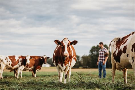 #CdnAgDay | Dairy farms, Farm, Animals