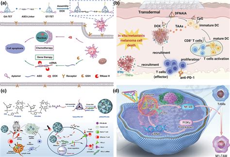 Applications of DNA tetrahedron nanostructure in cancer diagnosis and anticancer drugs delivery