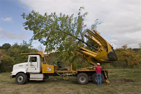 Free photo: Tree transplant equipment - Attachment, Rootballing, Uplift ...