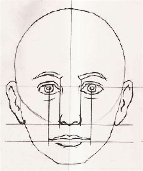 Practice proportion - faces | Face drawing, Portrait drawing, Drawings