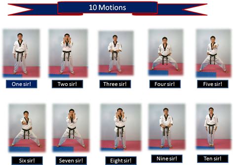 Best Of white belt stances taekwondo Belt tae kwon hapkido stances choose board