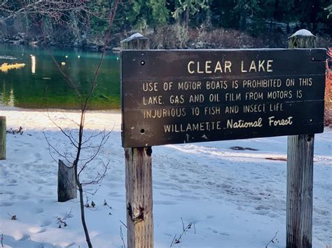 Clear Lake Resort in the Willamette National Forest