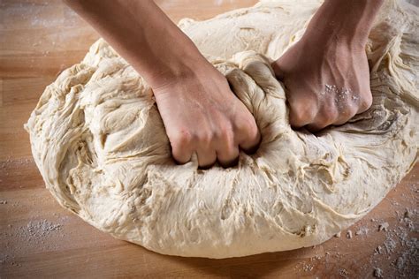 Quotes about Kneading dough (21 quotes)