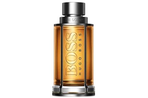 16 Best Summer Colognes & Fragrances for Men | Man of Many