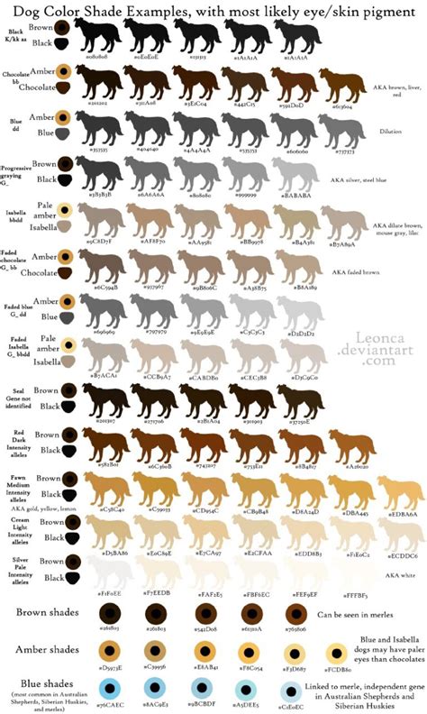 Dog Color & Genetics – 13 Royal Bloodlines