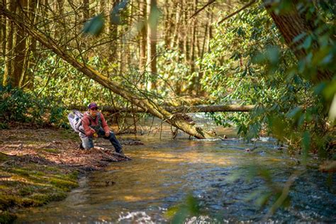 Fly Fishing -- The Best Fly-Fishing Gear in the World | Orvis