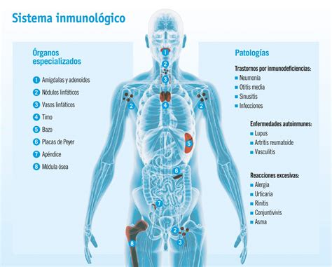 ALTERACIONES DEL SISTEMA INMUNOLÓGICO