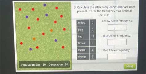 Solved Calculate the allele frequencies that are now | Chegg.com