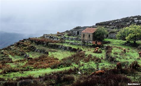 Elevation of Monchique, Portugal - Topographic Map - Altitude Map