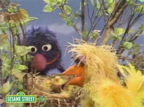 Birdssesamestreet mp4 3gp flv mp3 video indir