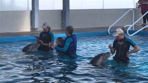 Gulfarium Dolphin Splash Encounter - YouTube