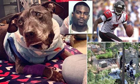 Last surviving dog rescued from ex-NFL quarterback Michael Vick's dogfighting ring dies | Daily ...