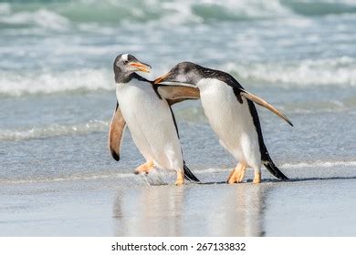 744 Penguin Hug Images, Stock Photos & Vectors | Shutterstock