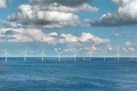 Offshore Wind Farms Environmental Impact