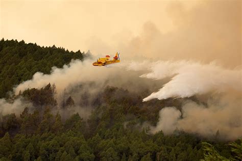 In pictures: Wildfire on Spain's Tenerife island spreads - August 17 ...