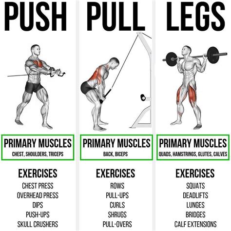 What Muscles Groups Do Pull Ups Work - Resume Themplate Ideas