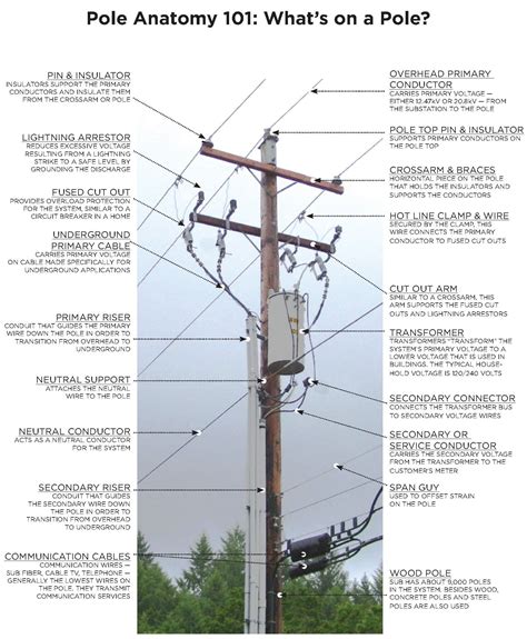 Electric Pole Anatomy 101 : r/coolguides