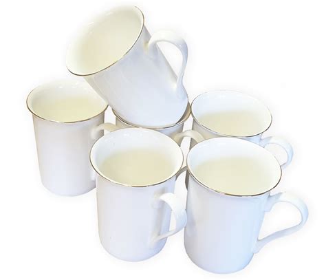 SET OF 6 Fine Bone China Mugs With Gold Rim Gift Boxed Glossy White Cups – Coralgraph