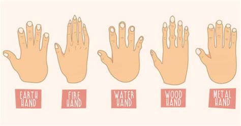 The Shape of Your Hands Reveal a Lot About Your Personality