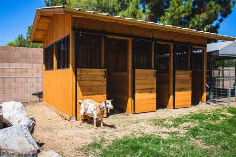 Our Custom Goat Barn! - Weed 'em & Reap