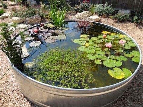77 best Galvanized Tub Water Gardens images on Pinterest | Backyard ideas, Backyard ponds and ...