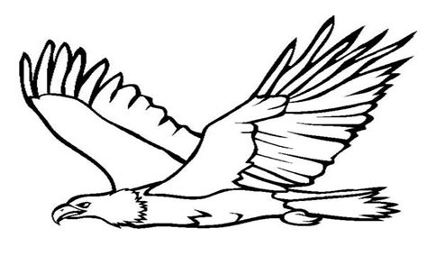 Golden Eagle Realistic Eagle Coloring Pages - pic-corn