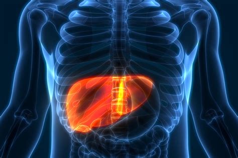 9 Silent Signs of Liver Cancer You Shouldn’t Ignore | The Healthy