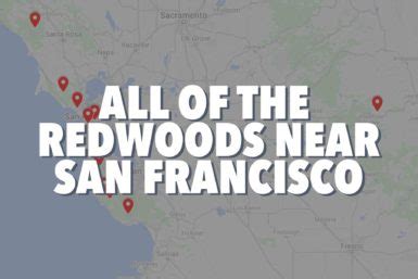 15 BEST REDWOODS NEAR SAN FRANCISCO (Closest to Furthest)