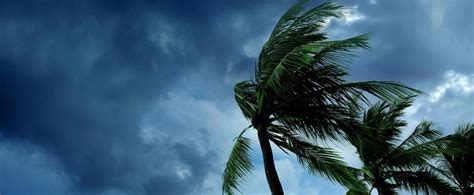 8 ways to minimize damage after a hurricane | Chubb