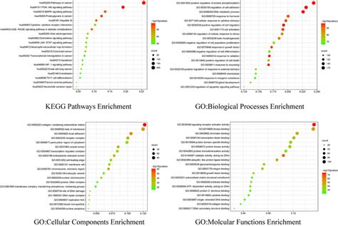 Top 20 of Kyoto Encyclopedia of Genes and Genomes (KEGG) and Gene ...