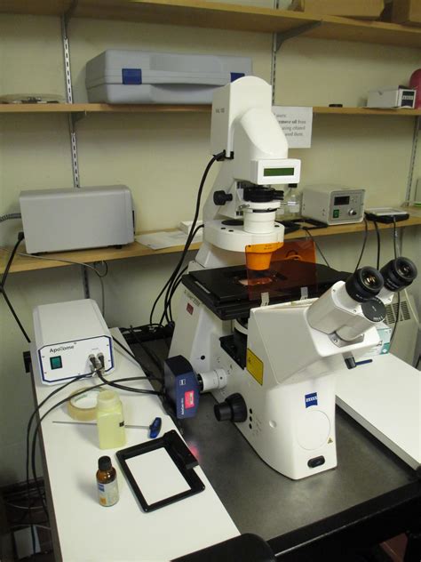 Apotome Optical Sectioning Microscope | Centre for the Neurobiology of Stress