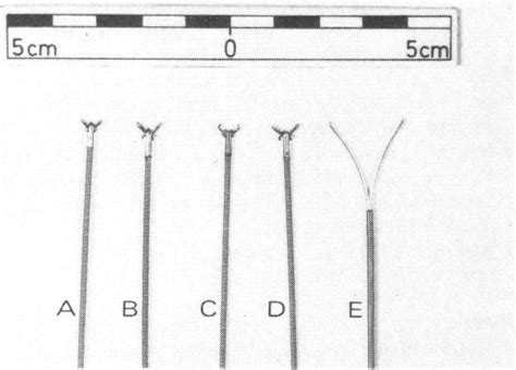 Five types offlexible endoscopy forceps. A: standard biopsy forceps. B:... | Download Scientific ...