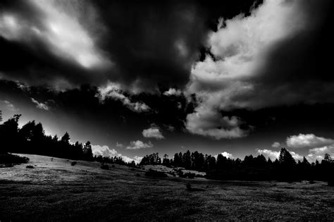 High Contrast | Landscape trees, Black hd wallpaper, Fields photography