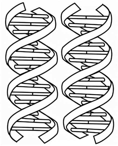 Images Of DNA Coloring Pages | Coloring Pages - Cliparts.co