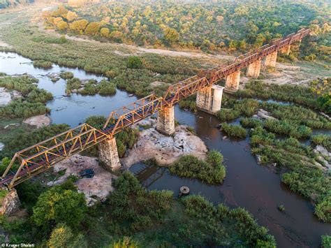 Kruger Shalati: The Train Hotel Over Sabie Bridge | Amusing Planet