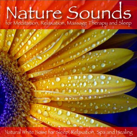 Amazon.com: Relaxing Spa Sounds (Gentle Instrumental Music and Pure ...