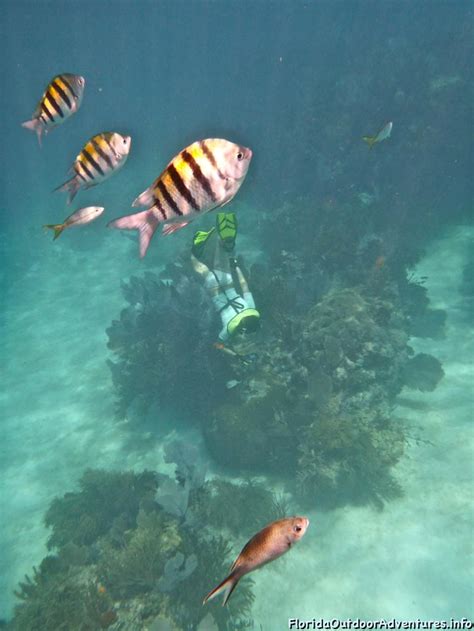 Sombrero Lighthouse Reef Snorkel In Calm Seas – Florida Snorkeling ...