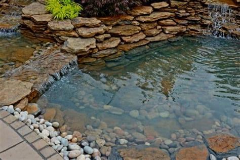 Wildlife Pond Edging Ideas