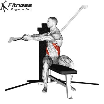 Seated Cable Twist » Workout Planner