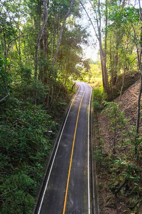 Top view of road in the forest 2049881 Stock Photo at Vecteezy