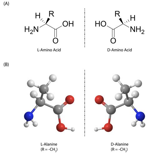 Örnek Sorun nedir Energise chiral amino acids Değiştirilebilir Aksi ...